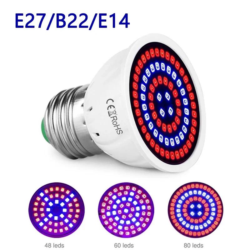 LED     , E27 B22 E14 LED  , ü Ʈ UV , Ĺ    Ƽ, 220V